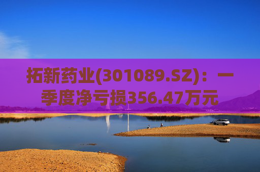 拓新药业(301089.SZ)：一季度净亏损356.47万元