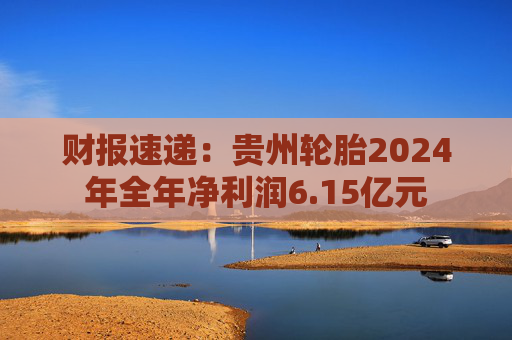 财报速递：贵州轮胎2024年全年净利润6.15亿元  第1张