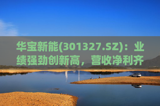华宝新能(301327.SZ)：业绩强劲创新高，营收净利齐突破  第1张