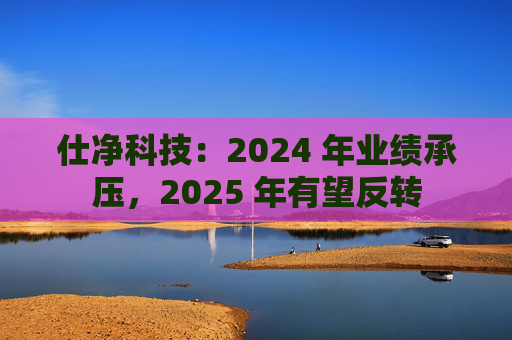 仕净科技:2024 年业绩承压,2025 年有望反转 第1张 仕净科技:2024 年业绩承压,2025 年有望反转 第1张