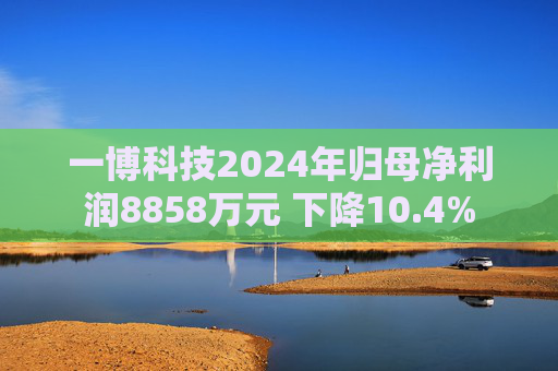 一博科技2024年归母净利润8858万元 下降10.4%