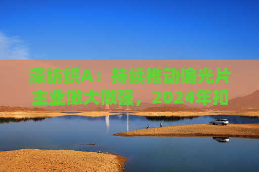 深纺织A：持续推动偏光片主业做大做强，2024年扣非归母净利润增长23.58%