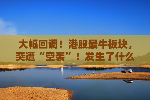 大幅回调！港股最牛板块，突遭“空袭”！发生了什么？