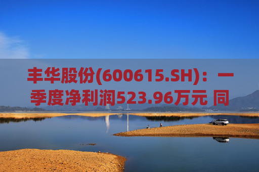 丰华股份(600615.SH)：一季度净利润523.96万元 同比增长645.11%  第1张