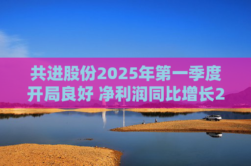 共进股份2025年第一季度开局良好 净利润同比增长267.63%