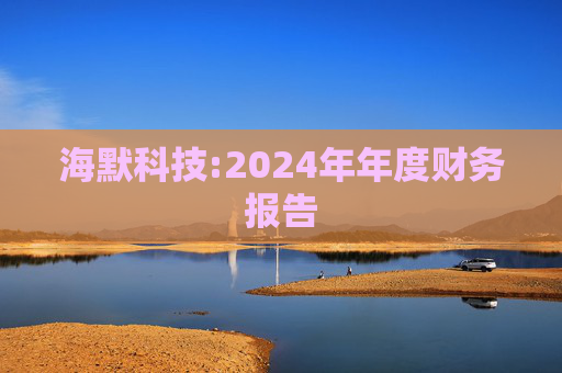 海默科技:2024年年度财务报告