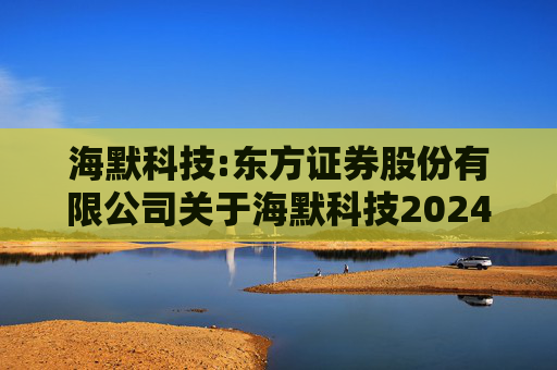海默科技:东方证券股份有限公司关于海默科技2024年年度持续督导跟踪报告  第1张