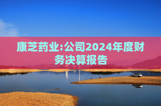 康芝药业:公司2024年度财务决算报告
