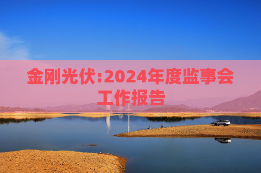 金刚光伏:2024年度监事会工作报告  第1张