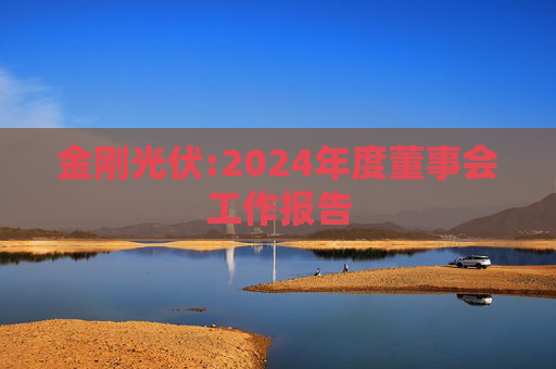 金刚光伏:2024年度董事会工作报告