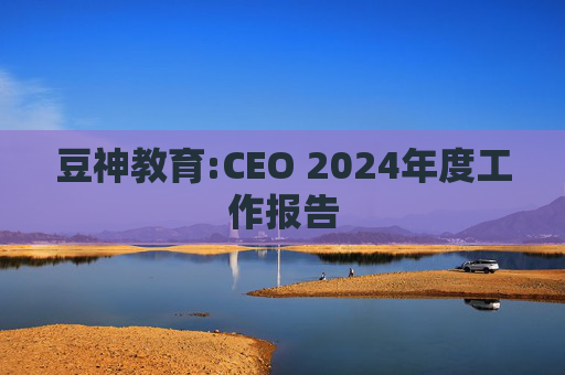 豆神教育:CEO 2024年度工作报告