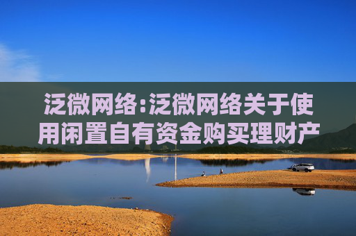 泛微网络:泛微网络关于使用闲置自有资金购买理财产品的公告