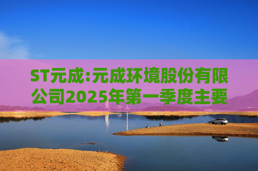 ST元成:元成环境股份有限公司2025年第一季度主要经营数据的公告  第1张