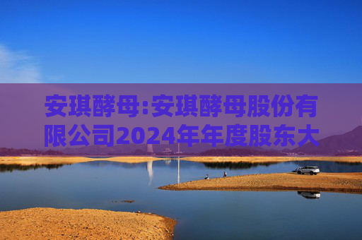 安琪酵母:安琪酵母股份有限公司2024年年度股东大会决议公告