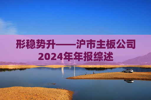 形稳势升——沪市主板公司2024年年报综述  第1张