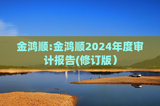 金鸿顺:金鸿顺2024年度审计报告(修订版)
