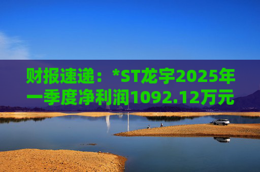 财报速递：*ST龙宇2025年一季度净利润1092.12万元
