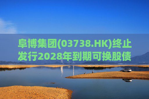 阜博集团(03738.HK)终止发行2028年到期可换股债券