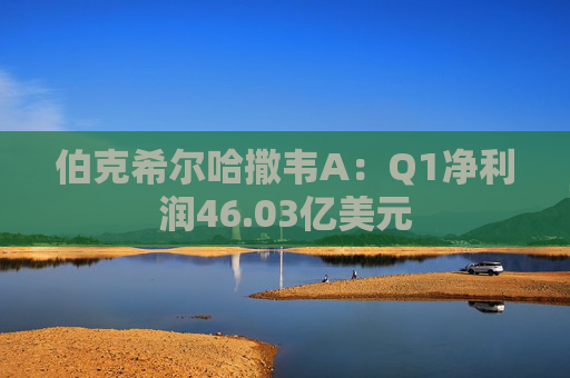 伯克希尔哈撒韦A：Q1净利润46.03亿美元