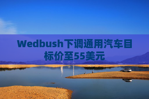 Wedbush下调通用汽车目标价至55美元