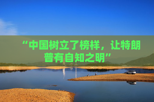 “中国树立了榜样，让特朗普有自知之明”  第1张