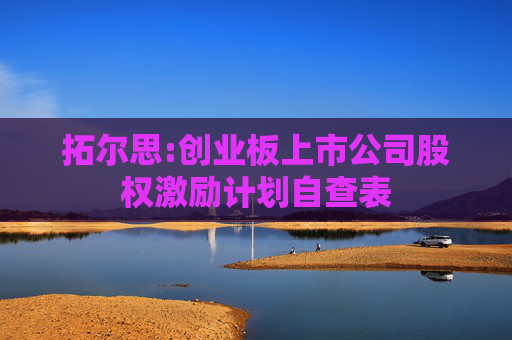 拓尔思:创业板上市公司股权激励计划自查表