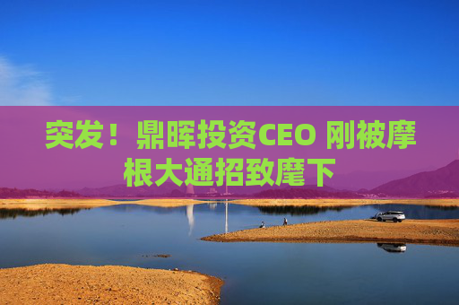 突发！鼎晖投资CEO 刚被摩根大通招致麾下