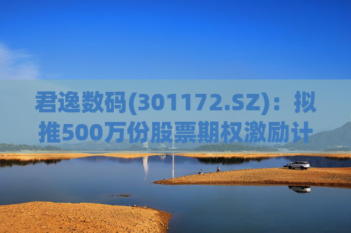 君逸数码(301172.SZ)：拟推500万份股票期权激励计划