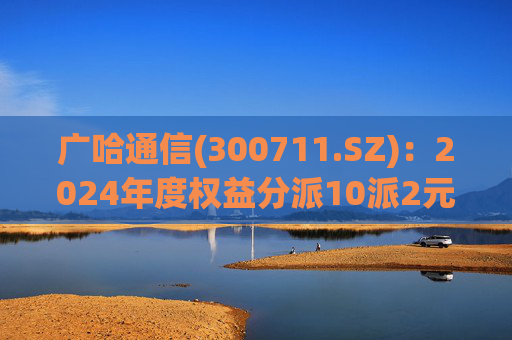 广哈通信(300711.SZ)：2024年度权益分派10派2元 股权登记日5月12日