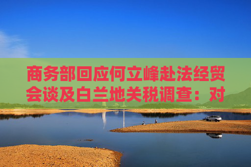 商务部回应何立峰赴法经贸会谈及白兰地关税调查：对对话磋商持开放态度  第1张