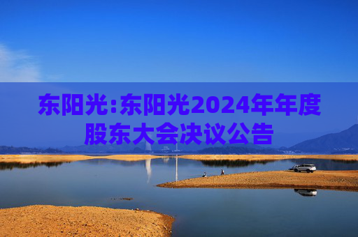 东阳光:东阳光2024年年度股东大会决议公告
