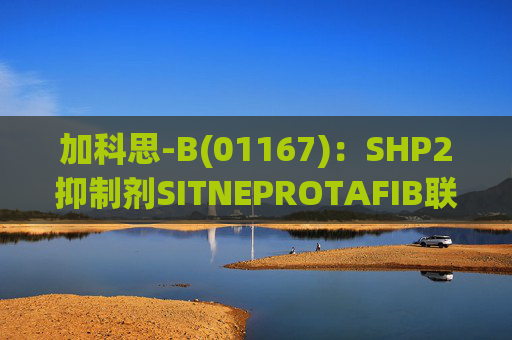 加科思-B(01167):SHP2抑制剂SITNEPROTAFIB联用研究数据发表于学术期刊