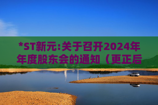 *ST新元:关于召开2024年年度股东会的通知(更正后)
