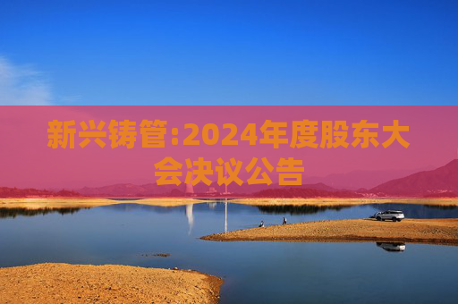 新兴铸管:2024年度股东大会决议公告