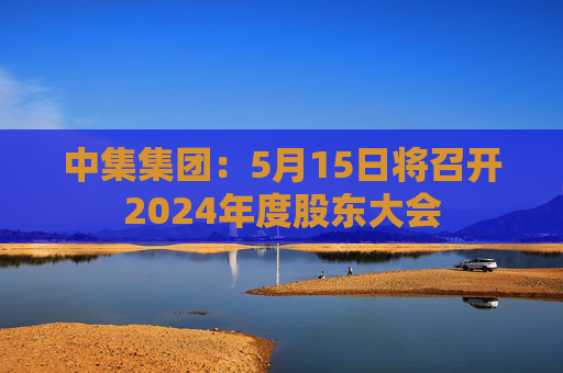 中集集团:5月15日将召开2024年度股东大会