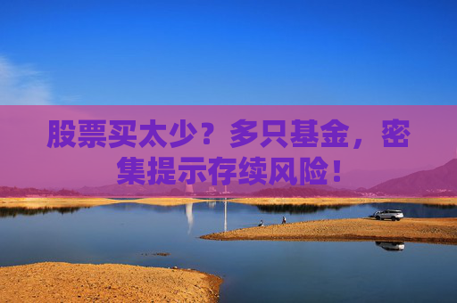 股票买太少？多只基金，密集提示存续风险！