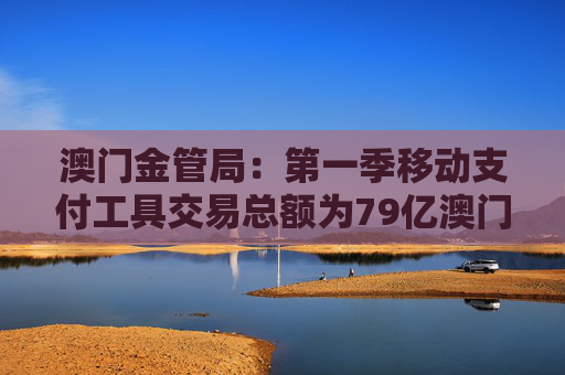 澳门金管局:第一季移动支付工具交易总额为79亿澳门元 同比上升8.7%