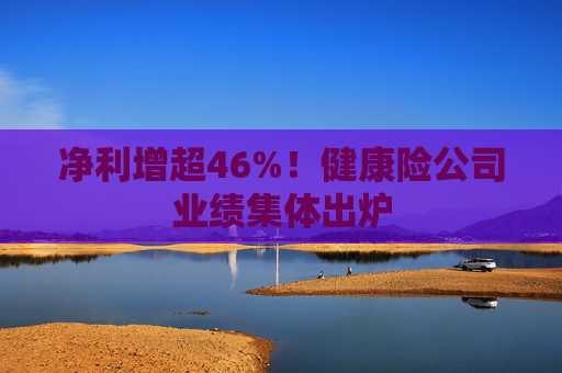 净利增超46%！健康险公司业绩集体出炉
