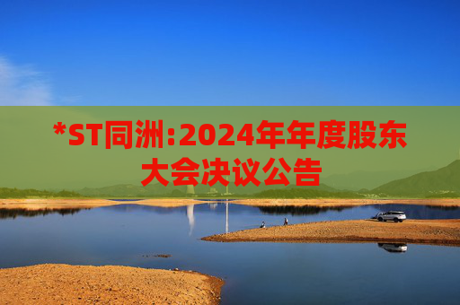 *ST同洲:2024年年度股东大会决议公告  第1张