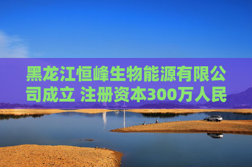 黑龙江恒峰生物能源有限公司成立 注册资本300万人民币 第1张 黑龙江恒峰生物能源有限公司成立 注册资本300万人民币 第1张