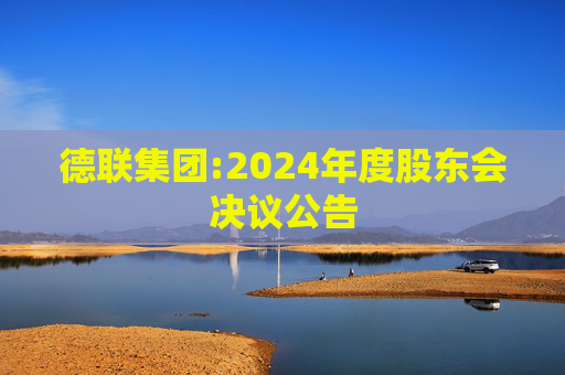 德联集团:2024年度股东会决议公告