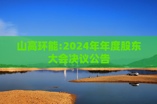 山高环能:2024年年度股东大会决议公告