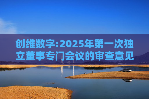创维数字:2025年第一次独立董事专门会议的审查意见  第1张