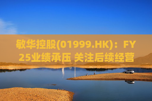 敏华控股(01999.HK)：FY25业绩承压 关注后续经营改善