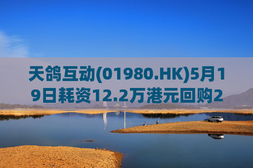 天鸽互动(01980.HK)5月19日耗资12.2万港元回购20万股