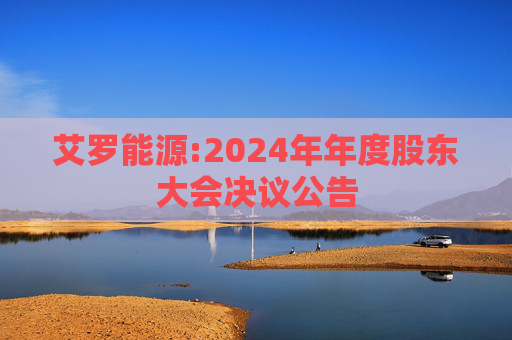 艾罗能源:2024年年度股东大会决议公告