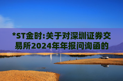 *ST金时:关于对深圳证券交易所2024年年报问询函的回复