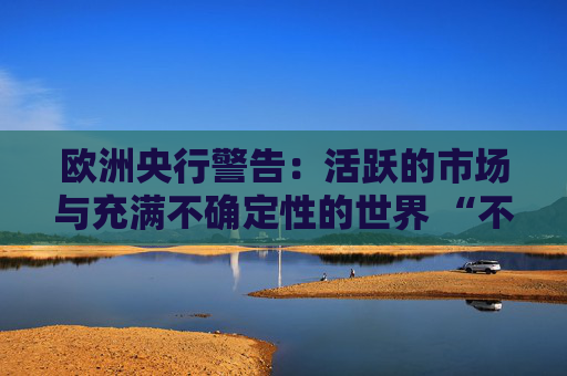 欧洲央行警告：活跃的市场与充满不确定性的世界 “不同步”  第1张