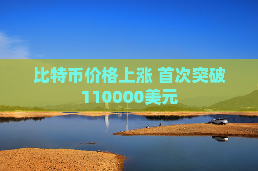 比特币价格上涨 首次突破110000美元