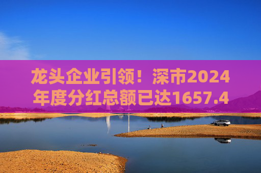龙头企业引领！深市2024年度分红总额已达1657.47亿元